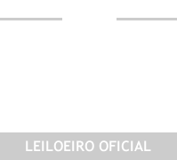 Leilões Judiciais MG